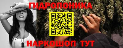 гидра Моздок