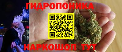 ПСИЛОЦИБИНОВЫЕ ГРИБЫ Можга