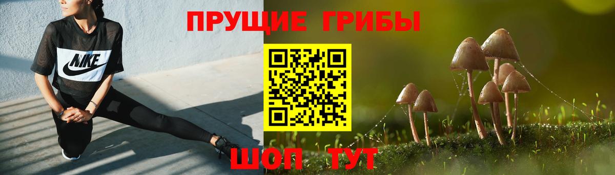 Бугульма  Псилоцибиновые грибы Magic Shrooms  Вход с VPN 